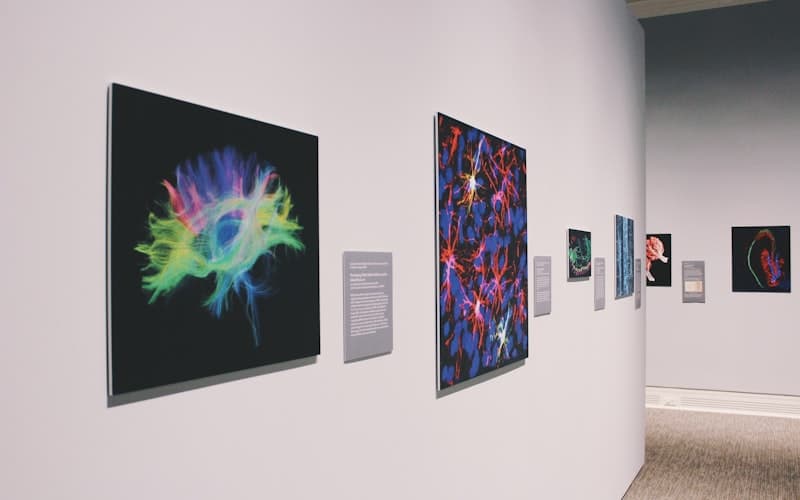 Illustration comparing RSVP and Full Guided reading modes